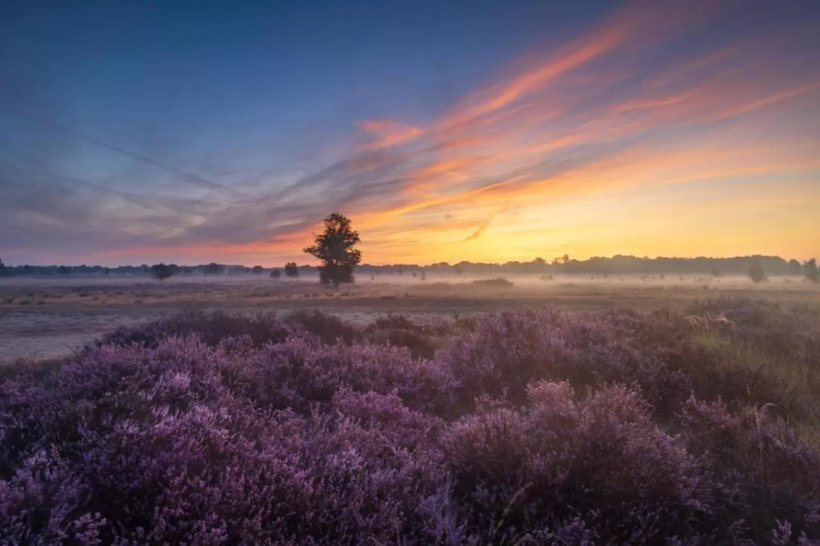 De Riek 4P-Areas within 20km in summer