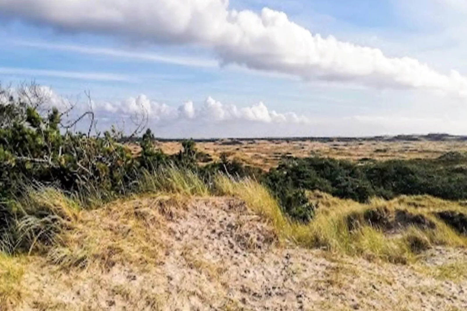 4 star holiday home in Ulfborg-View
