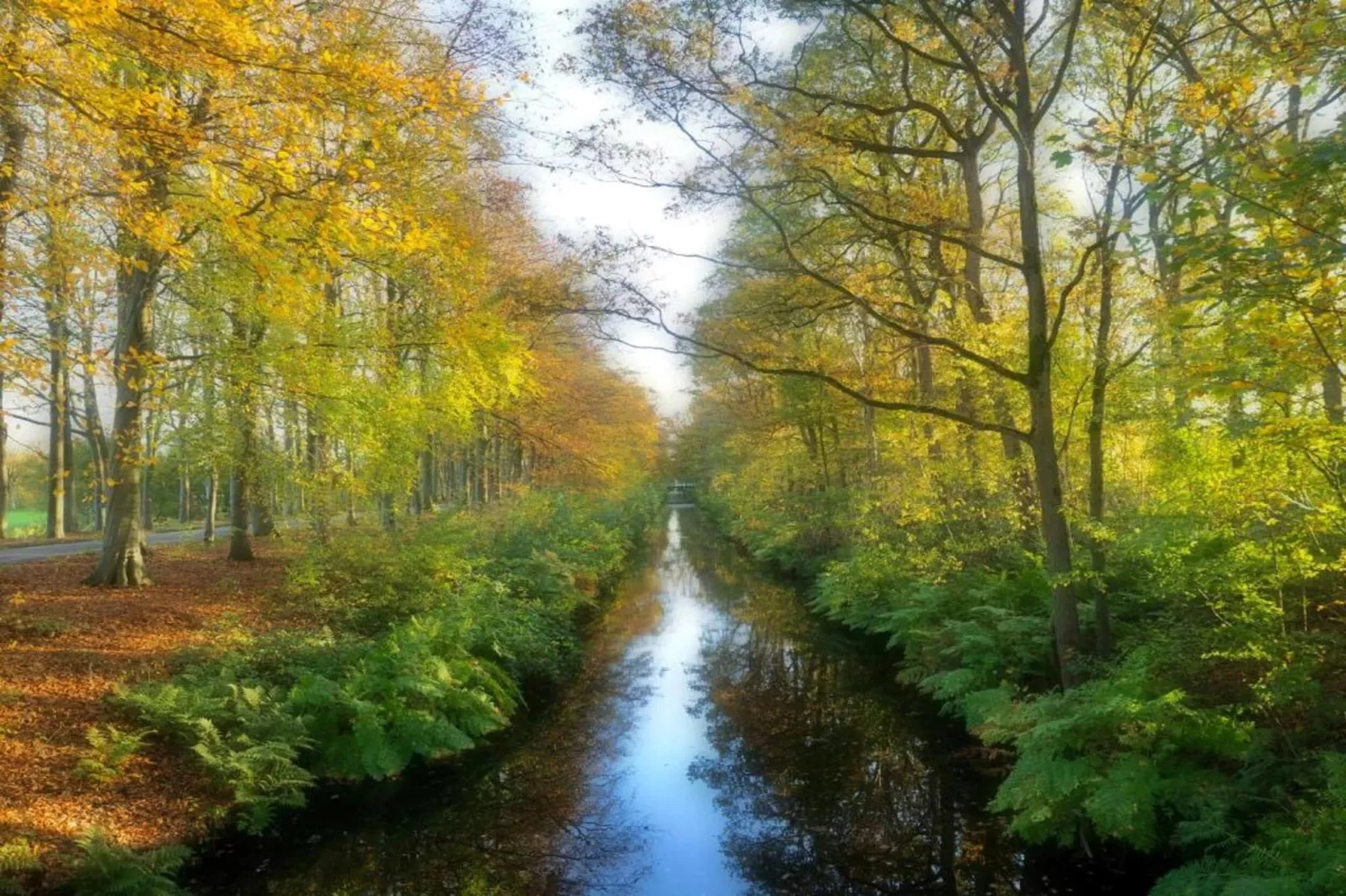 6-persoons bungelow 4-Areas within 20km in summer