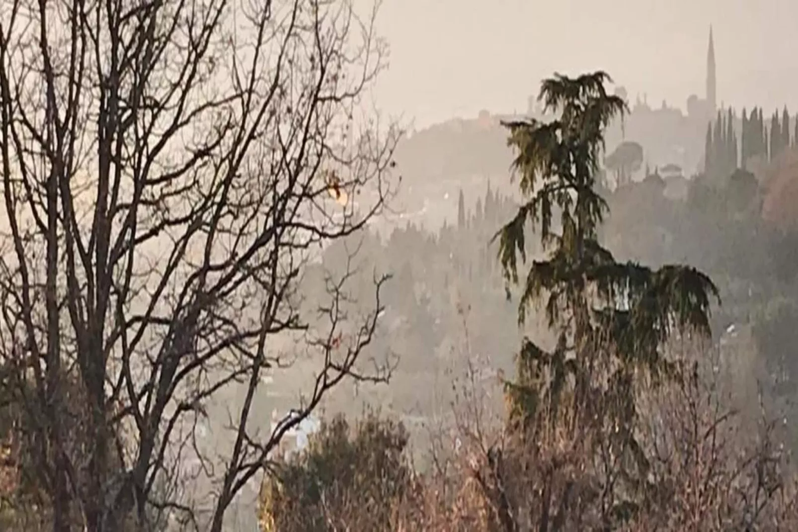 Abete-Areas within 20km in summer