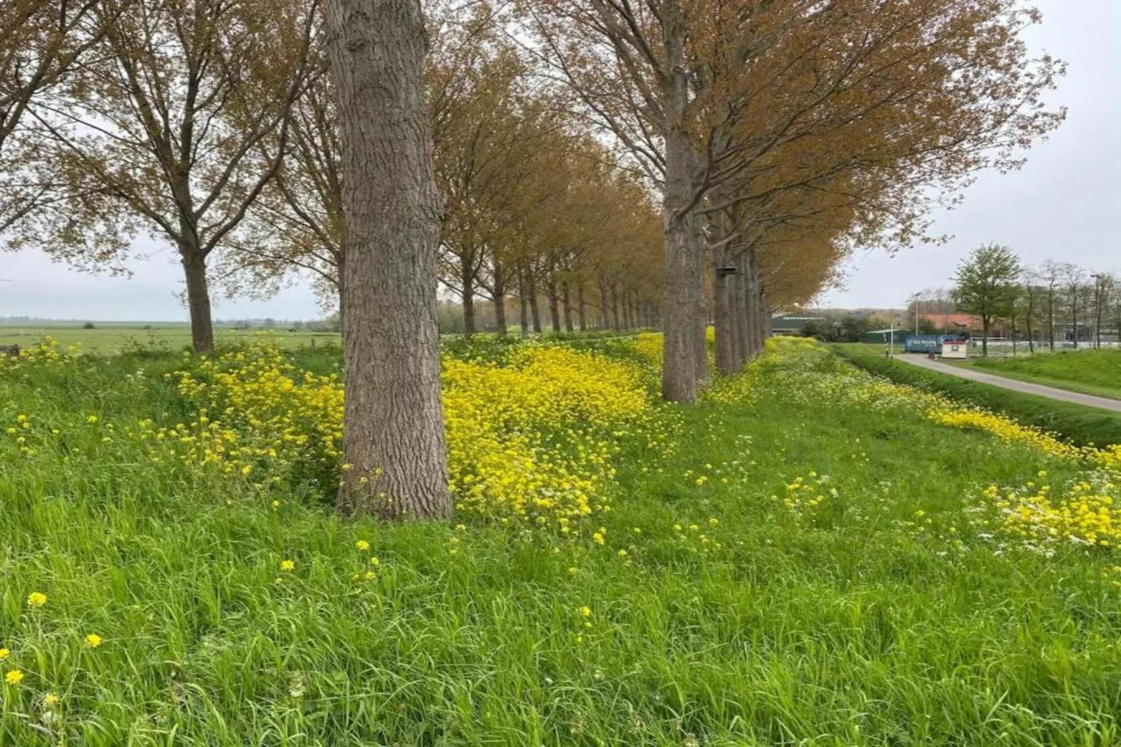Standaard 24-Zones été à 20 km