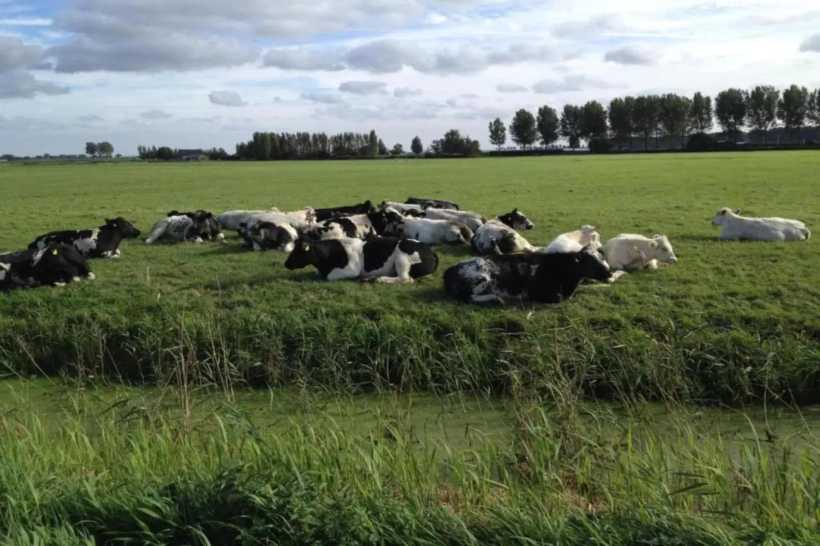 Standaard 211-Areas within 20km in summer