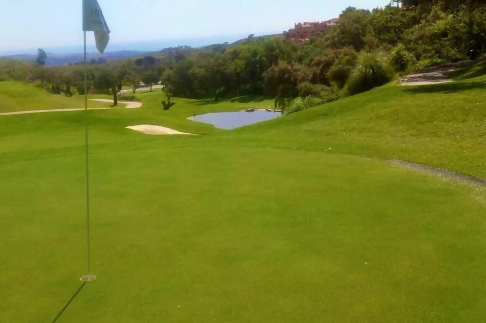 Floresta Sur 9-1-Areas within 20km in summer