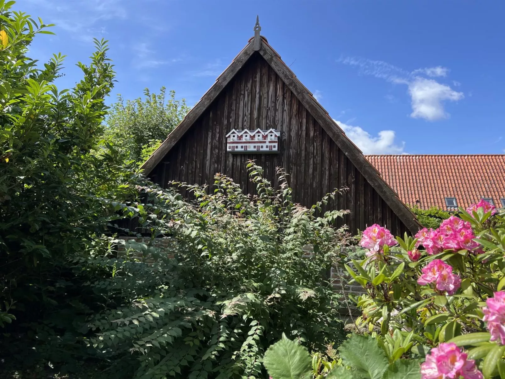 "Skyler" - 250m from the sea-Draußen