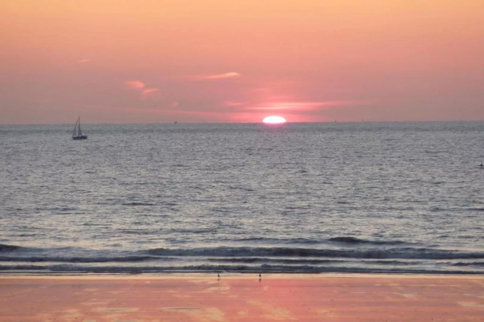 FASTNET - 91-Gebiete Sommer 1 km