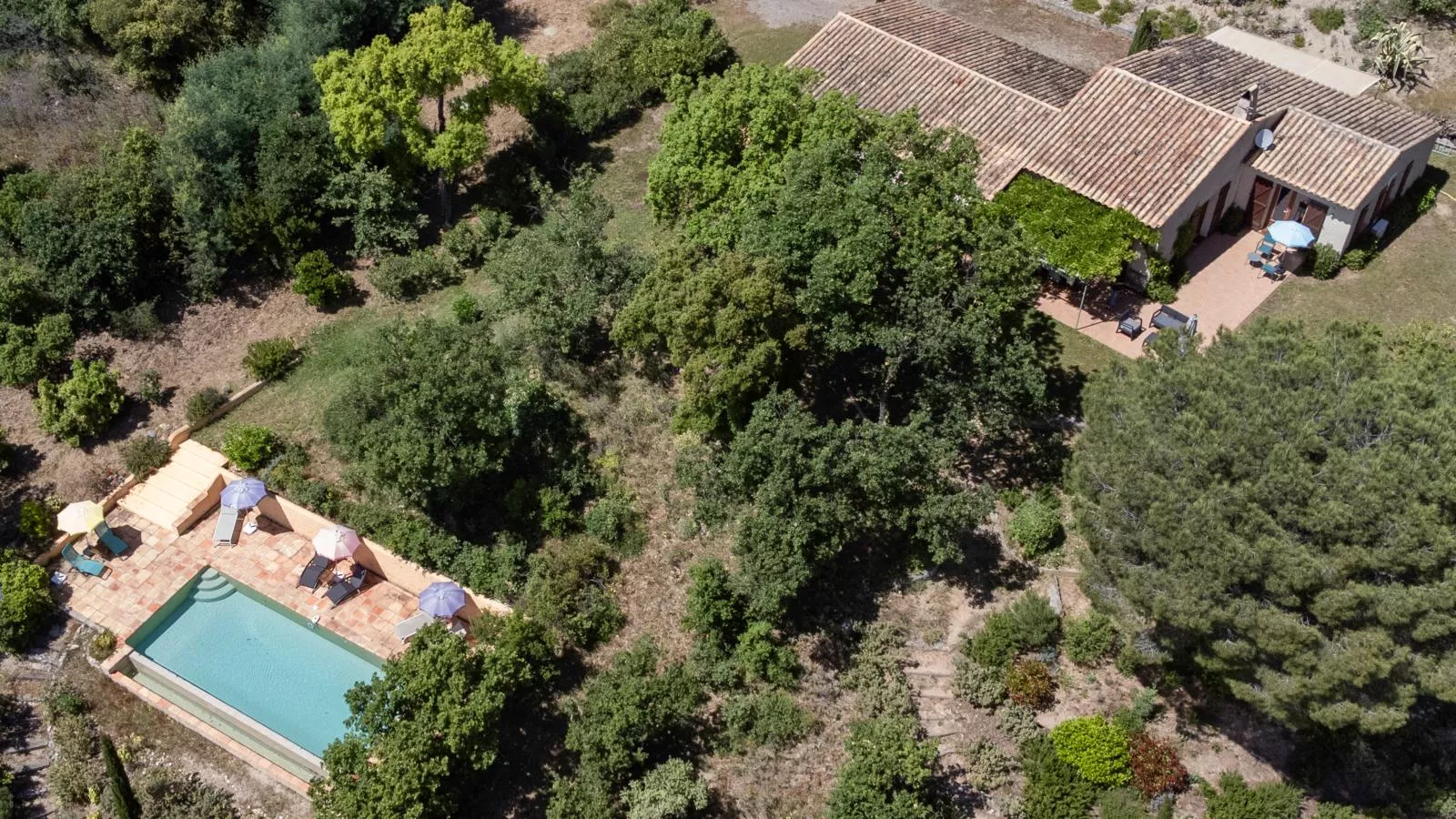 Entre les vignes-Piscine