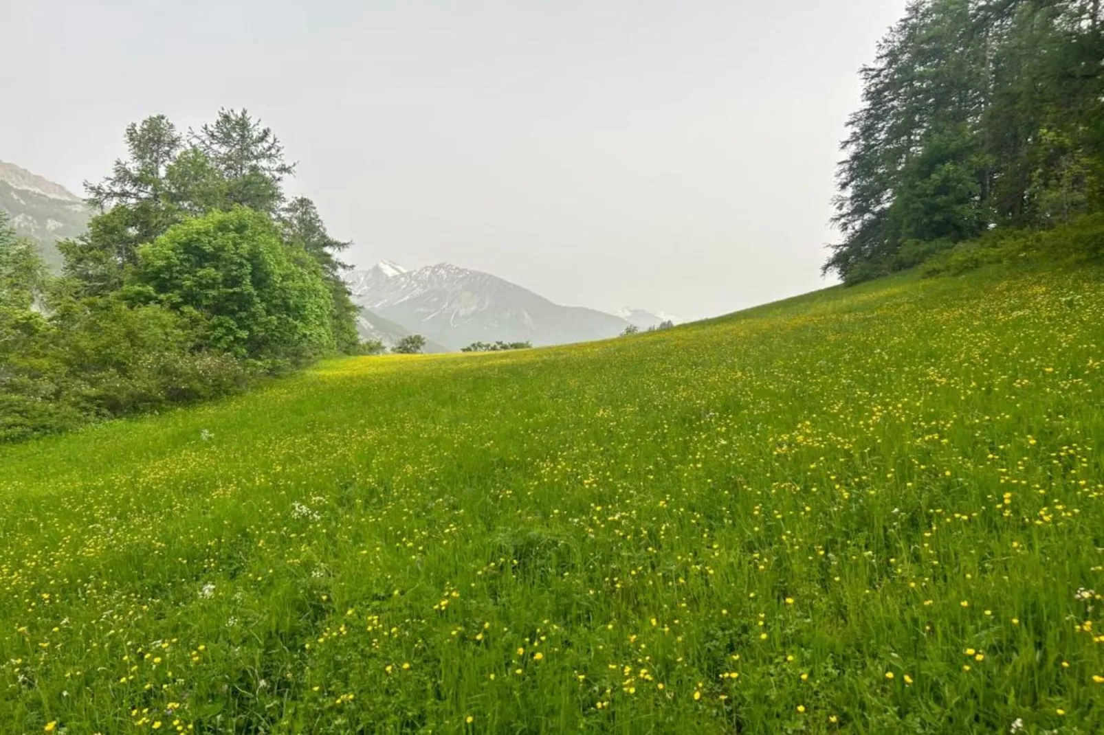 C. Du Verdon N°109 - 2P5-Gebiete Sommer 20 km