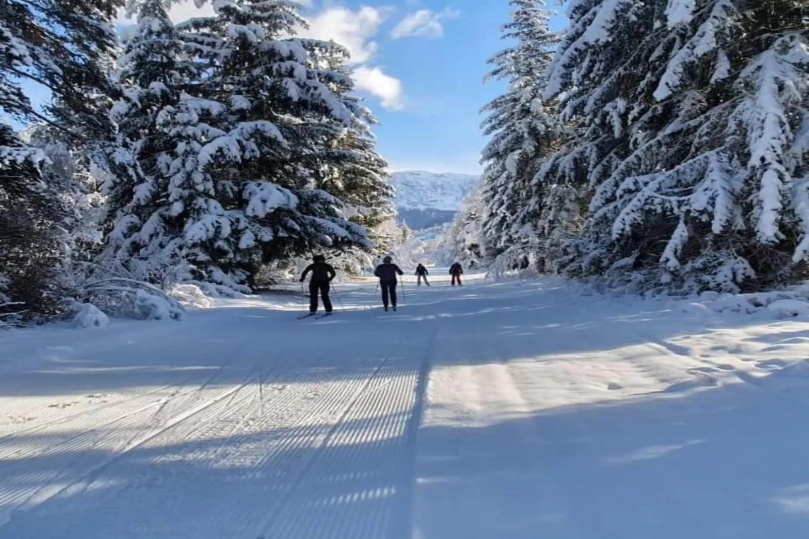 T.Bergerie A N°313 - 2P6C-Area within 20km in winter