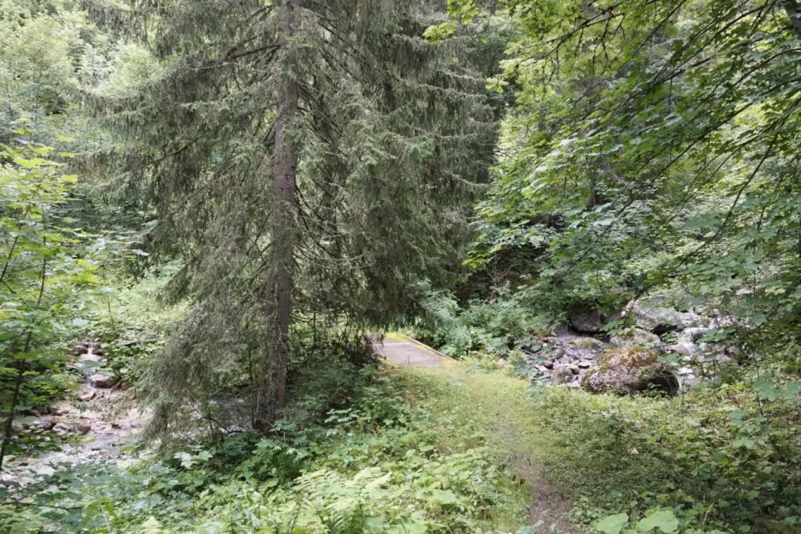 Arcades N°48 - ST3-Areas within 20km in summer