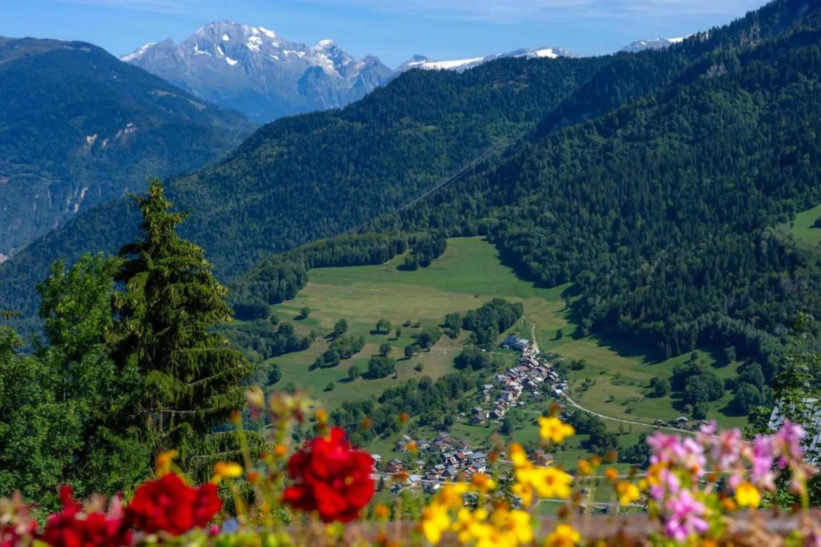 T. DU MOREL A N°25 - 2P5-Areas within 5km in summer
