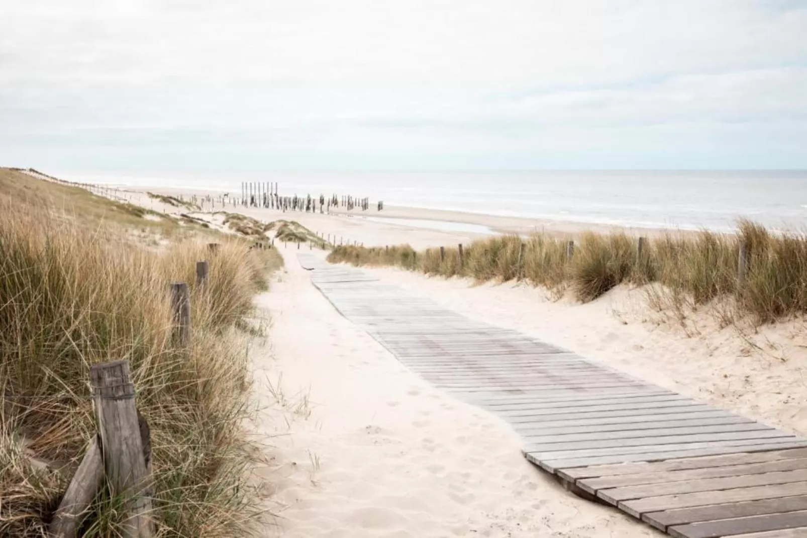 De Schelp 21-Gebiete Sommer 5 km