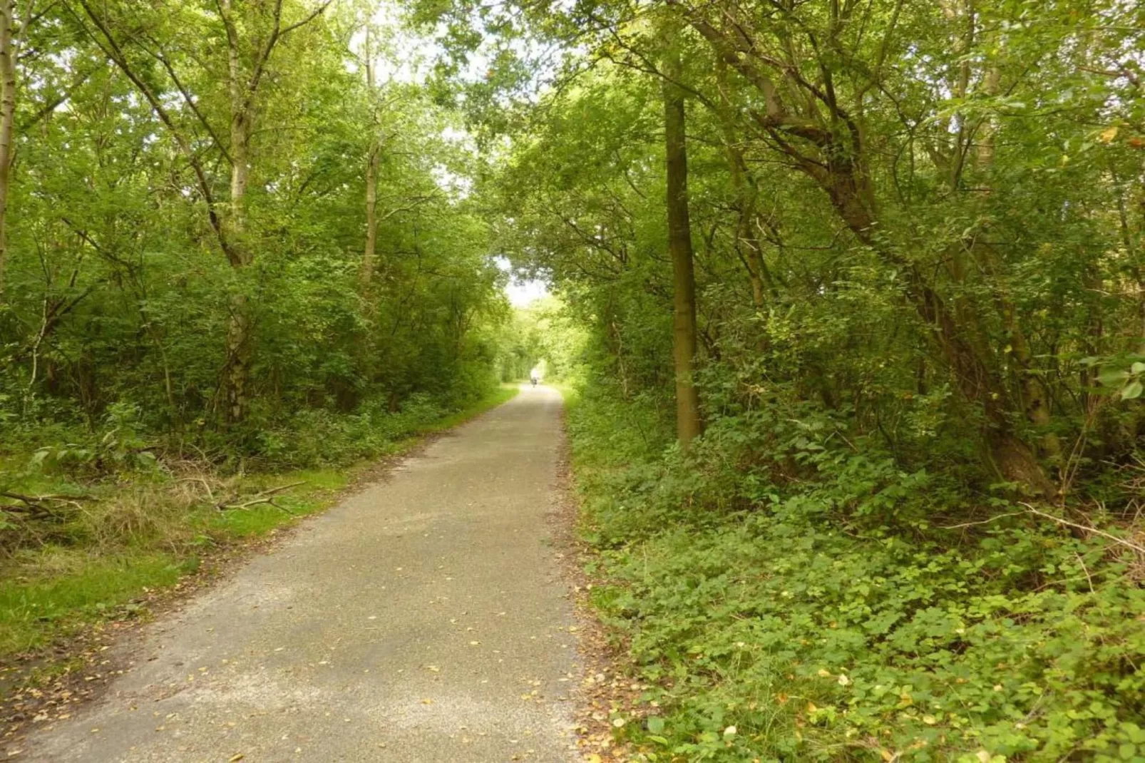B&B de Gouwe Tijd-Gebiete Sommer 20 km