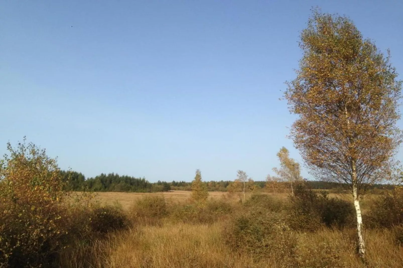 Dreamer-Areas within 5km in summer