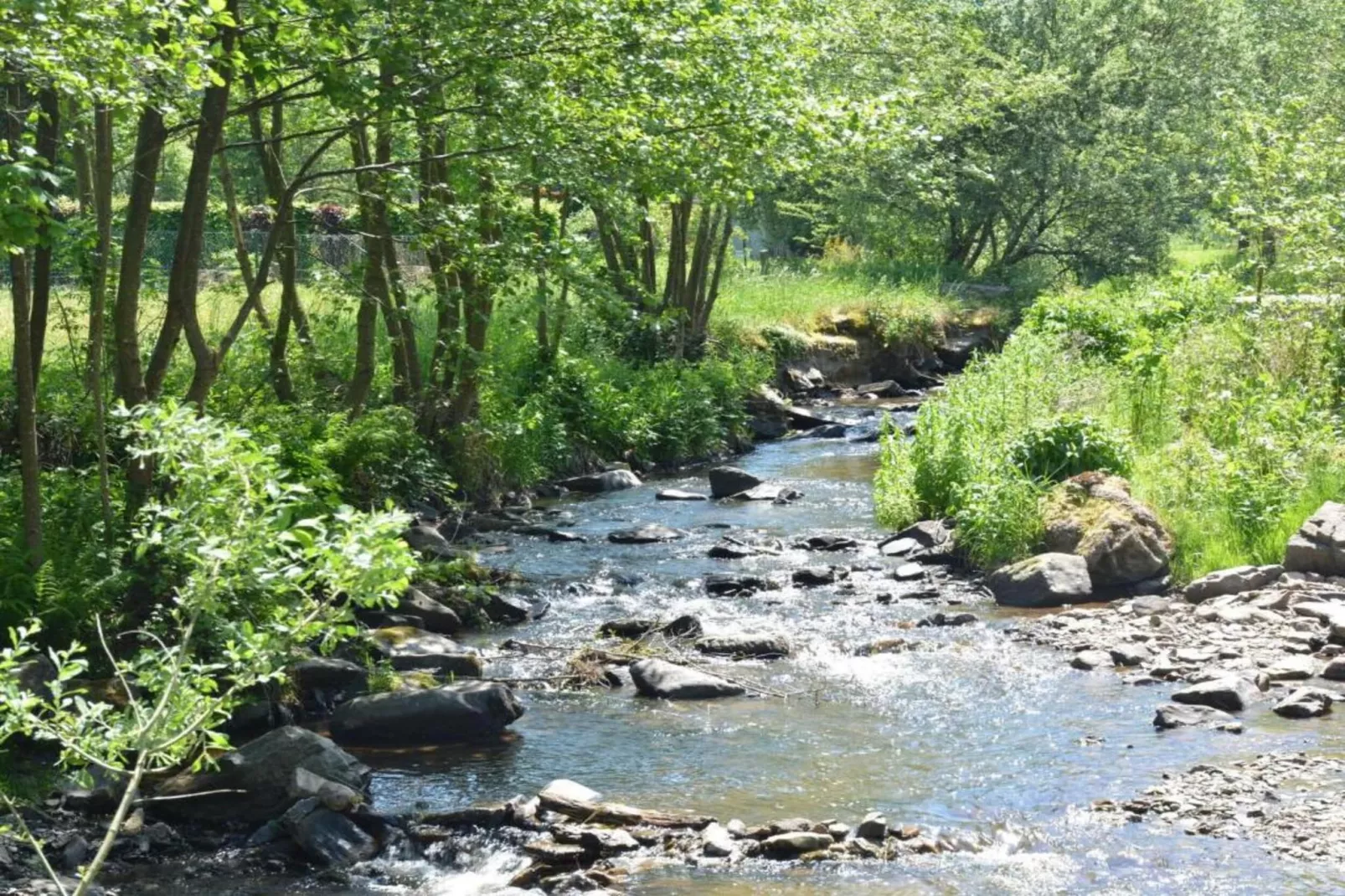 Dreamer 49-Areas within 5km in summer