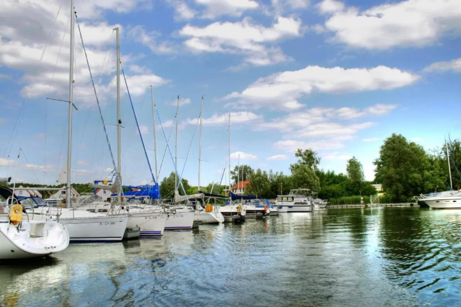Ferienhaus Seeschwalbe-70-Areas within 1km in summer