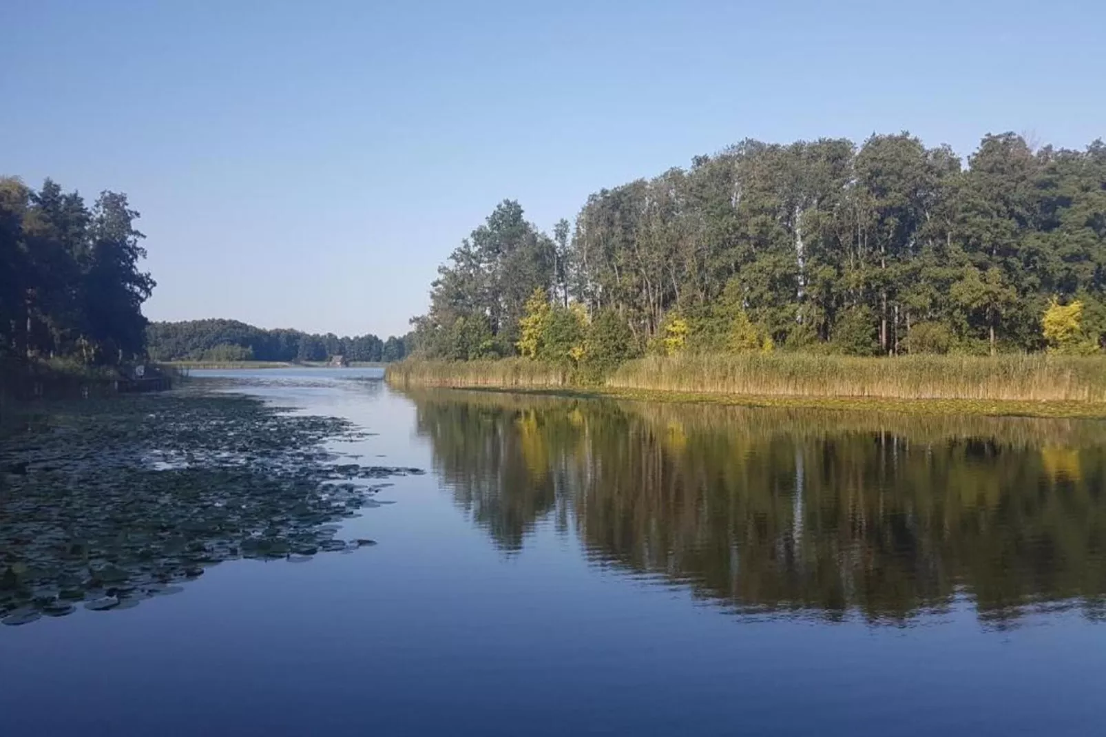 FH Seeschwalbe 221-Areas within 1km in summer