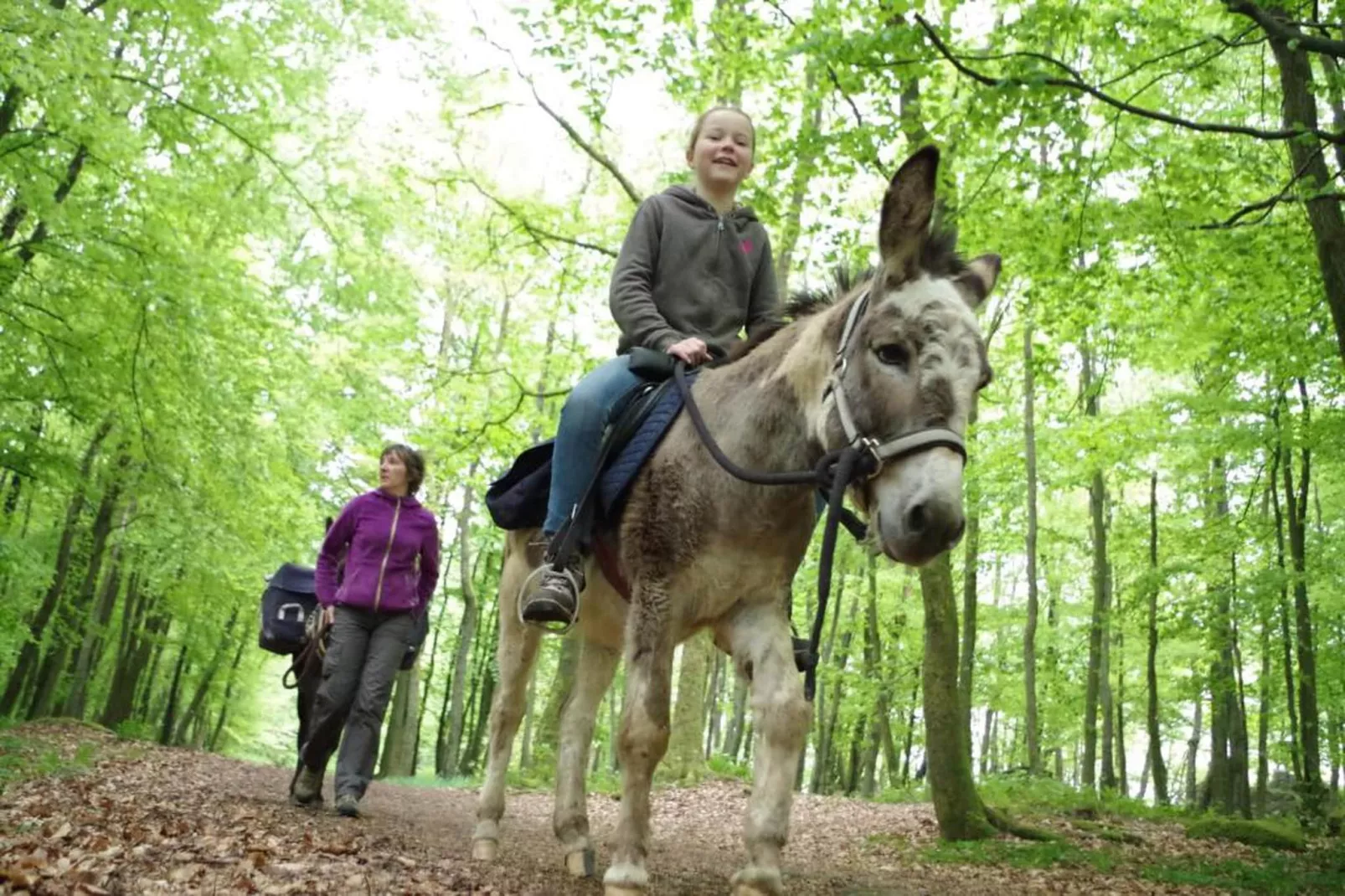 Stardust 40 Family Lodge-Gebiete Sommer 20 km