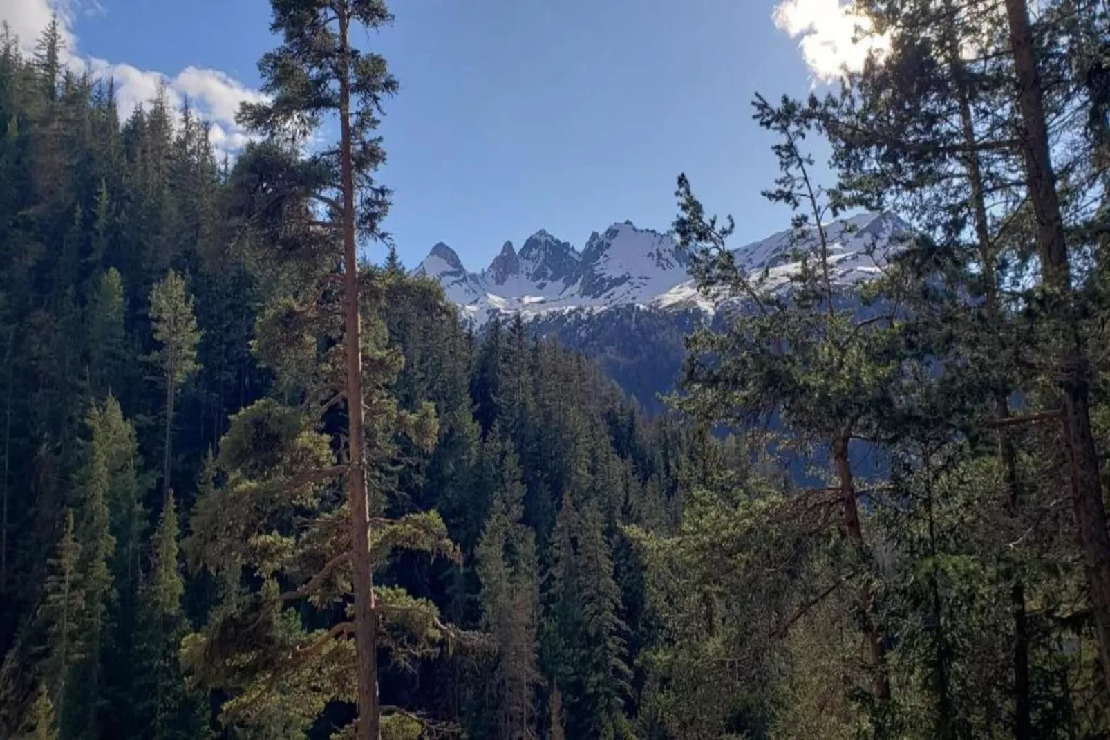 La Turra N°510 - 2P4-Gebiete Sommer 20 km