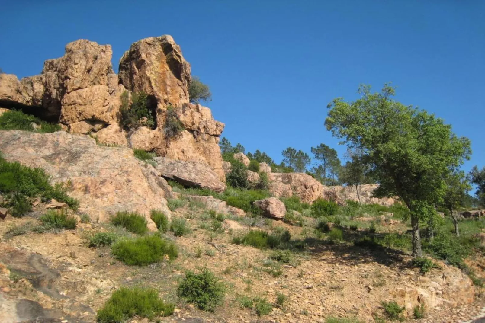 Le Petit Jardin-Areas within 20km in summer