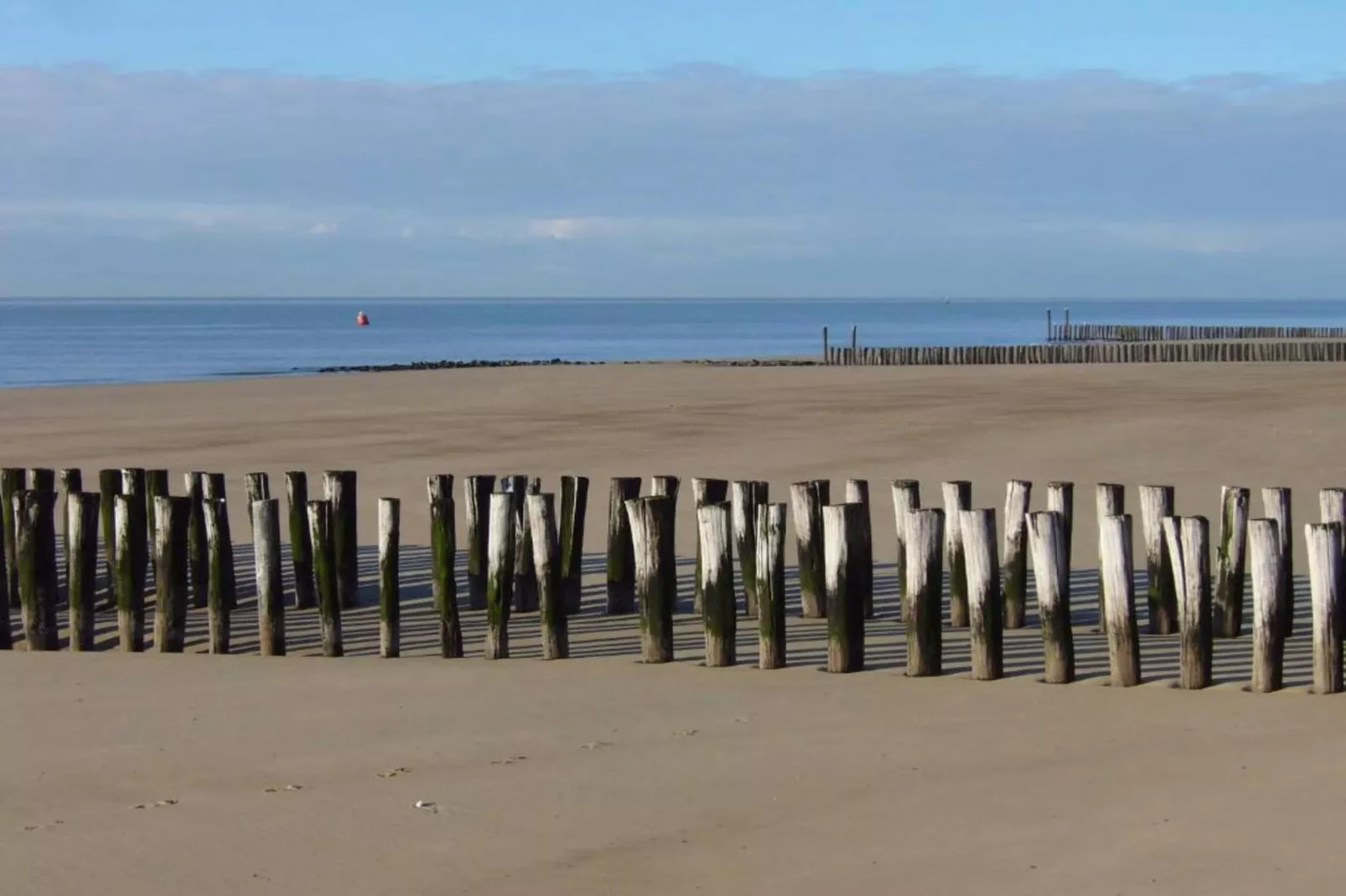 Studio / Appartement Langstraat 29C Zoutelande 2 Personen  Strandvakantie Zeeland-Gebiete Sommer 1 km