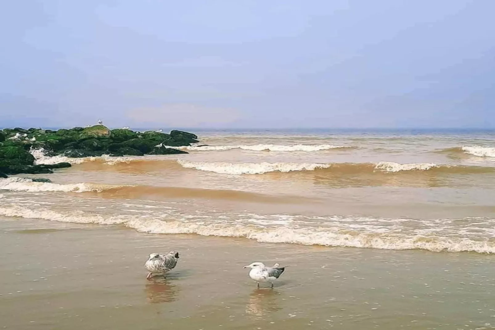 Strand Imperial 0503-Gebiete Sommer 20 km