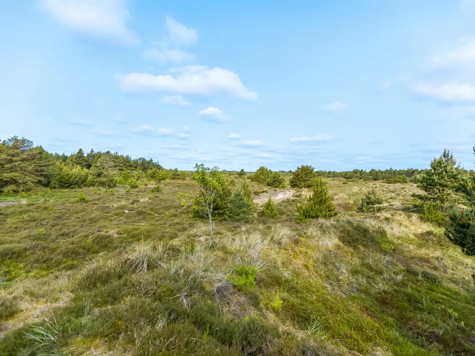 "Ibbe" - 3.5km from the sea-Dehors