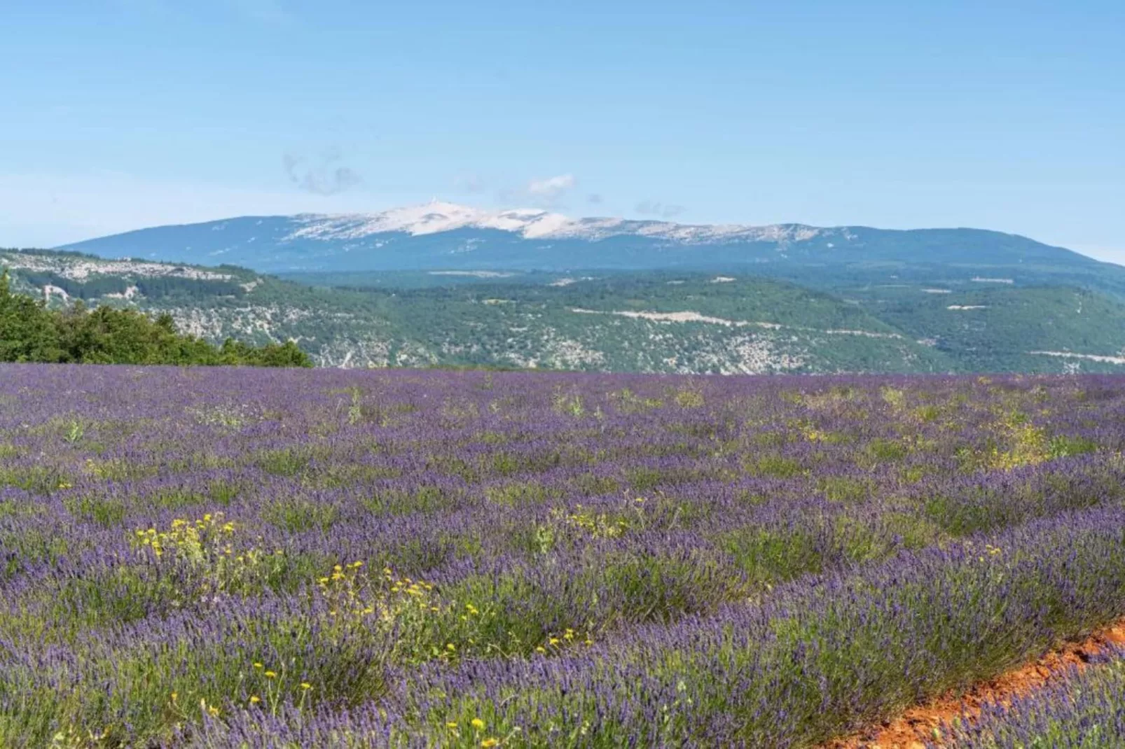 Villa Ninon-Areas within 20km in summer