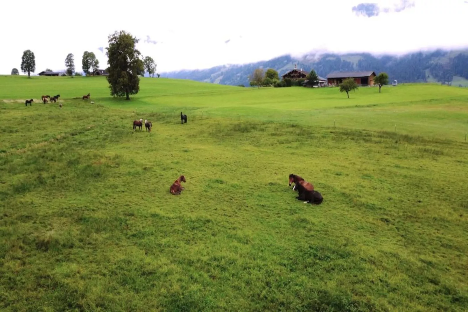 Doppelzimmer 3 - TONY in Saalfelden-Pinzgau-Areas within 20km in summer