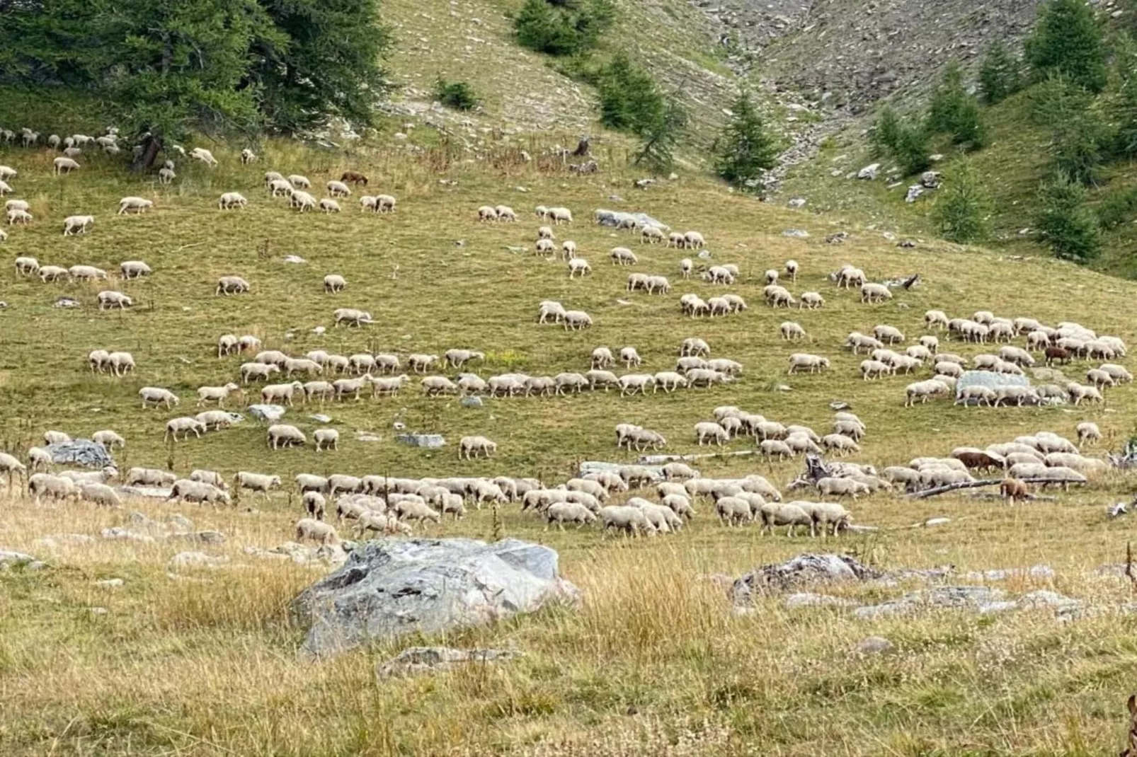 Les Etoiles D N°64 - ST4-Areas within 5km in summer