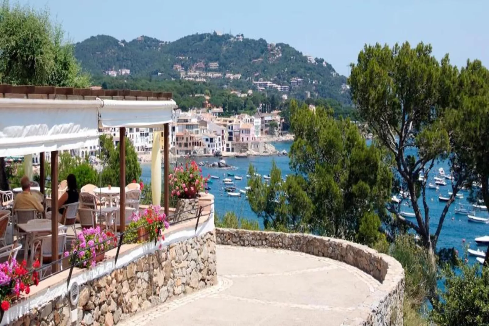 RosaMar - Areas within 20km in summer