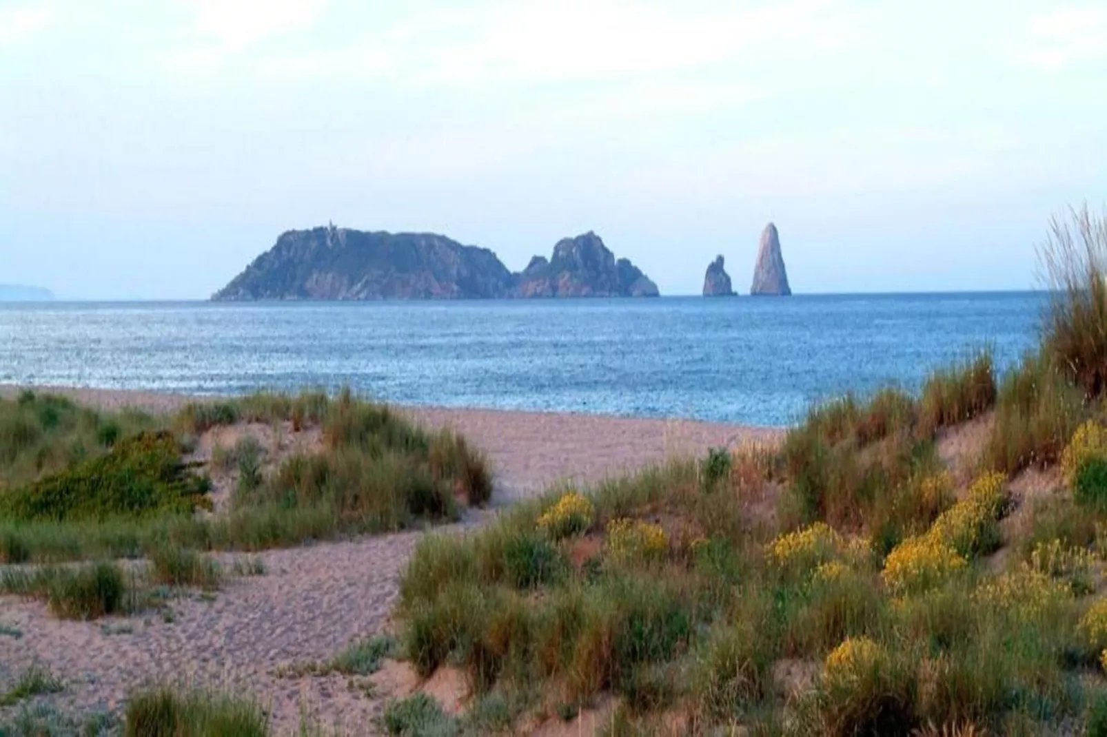 Arcos H1-Areas within 1km in summer