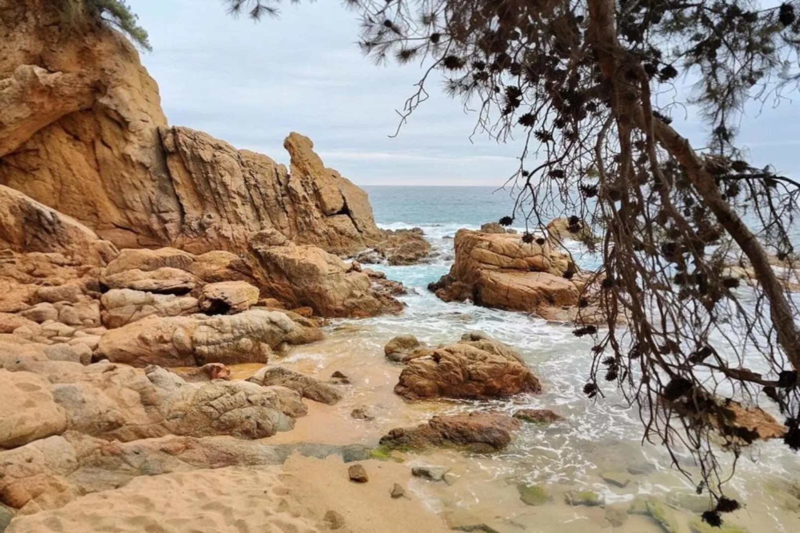 Mas Guelo-Gebiete Sommer 20 km