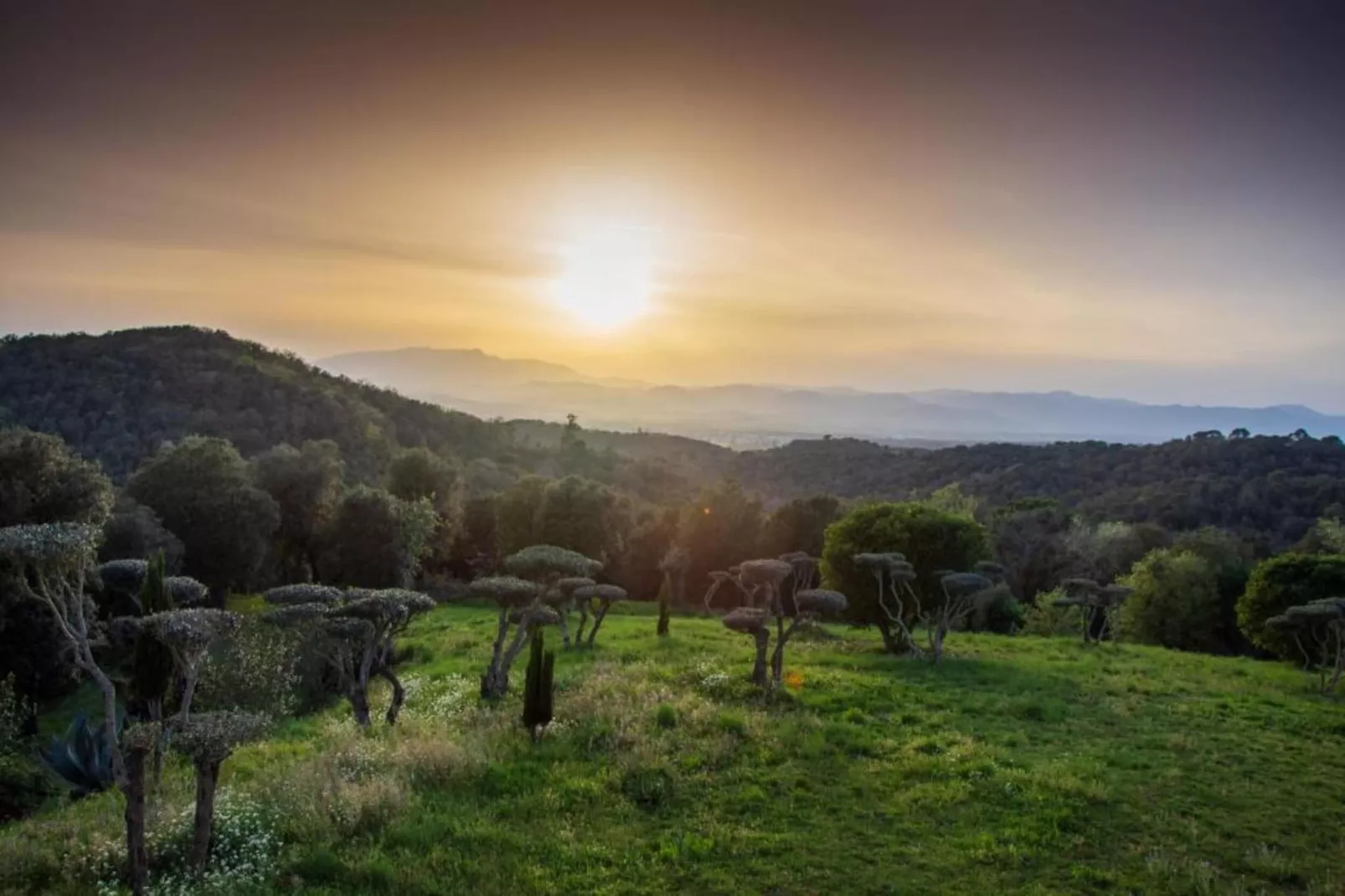 Vila-Areas within 5km in summer