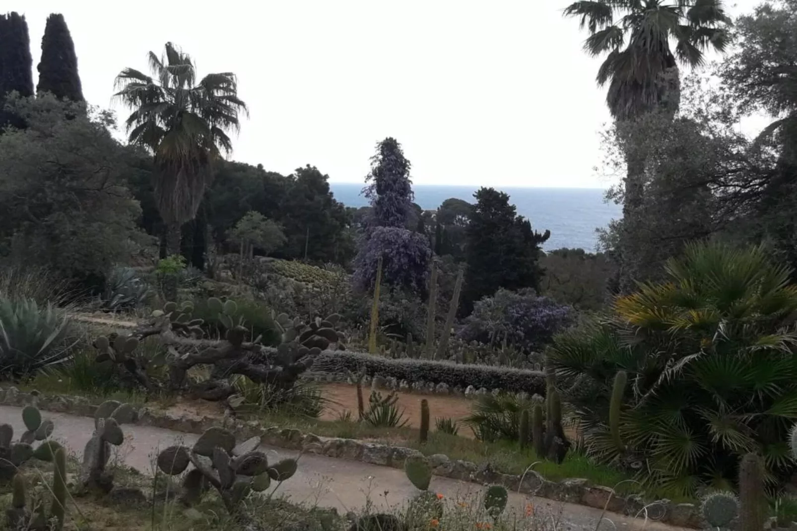 Cipresos 8pax - Areas within 20km in summer
