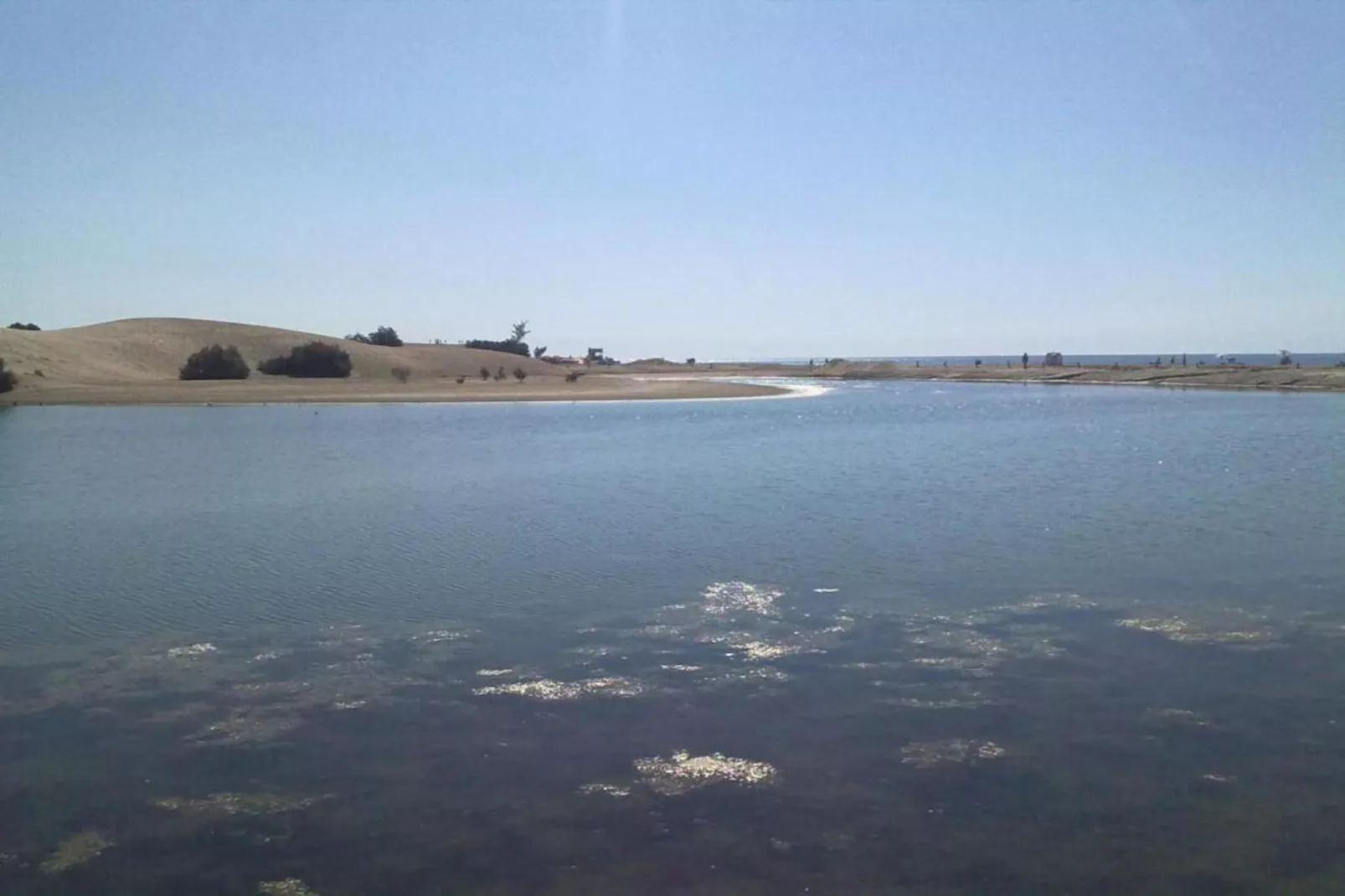 PENKY SUMMER-Areas within 20km in summer