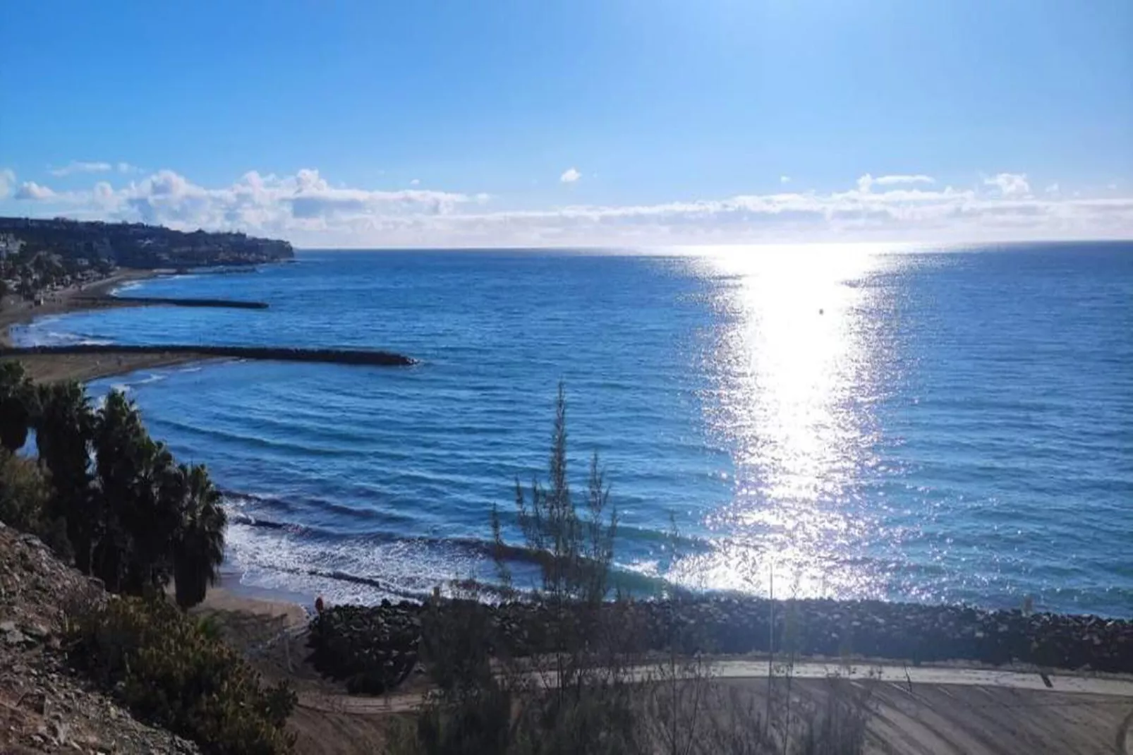 Tabaibas 14-Areas within 20km in summer