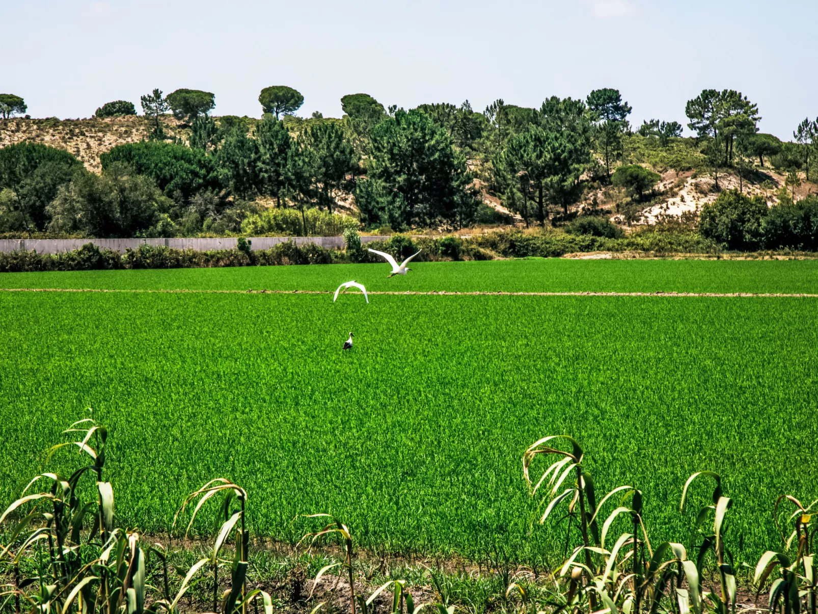 Refúgio no Montalvo-Area