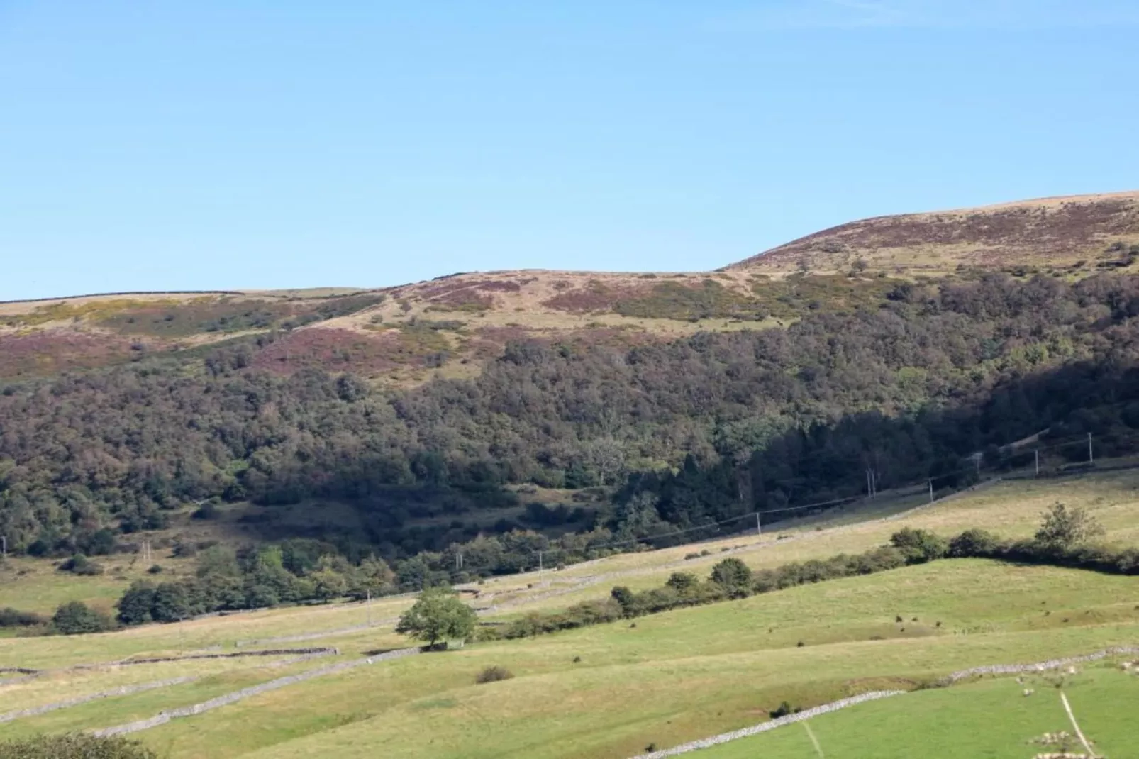 Westcote Cottage-Areas within 5km in summer