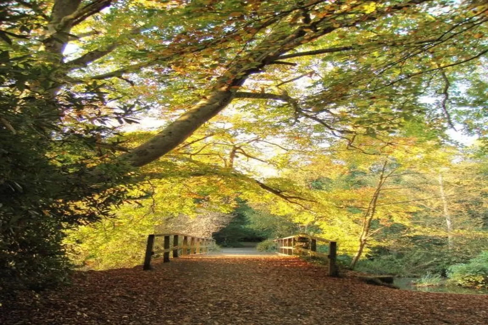 Little Dunley - Maple - Gebiete Sommer 5 km