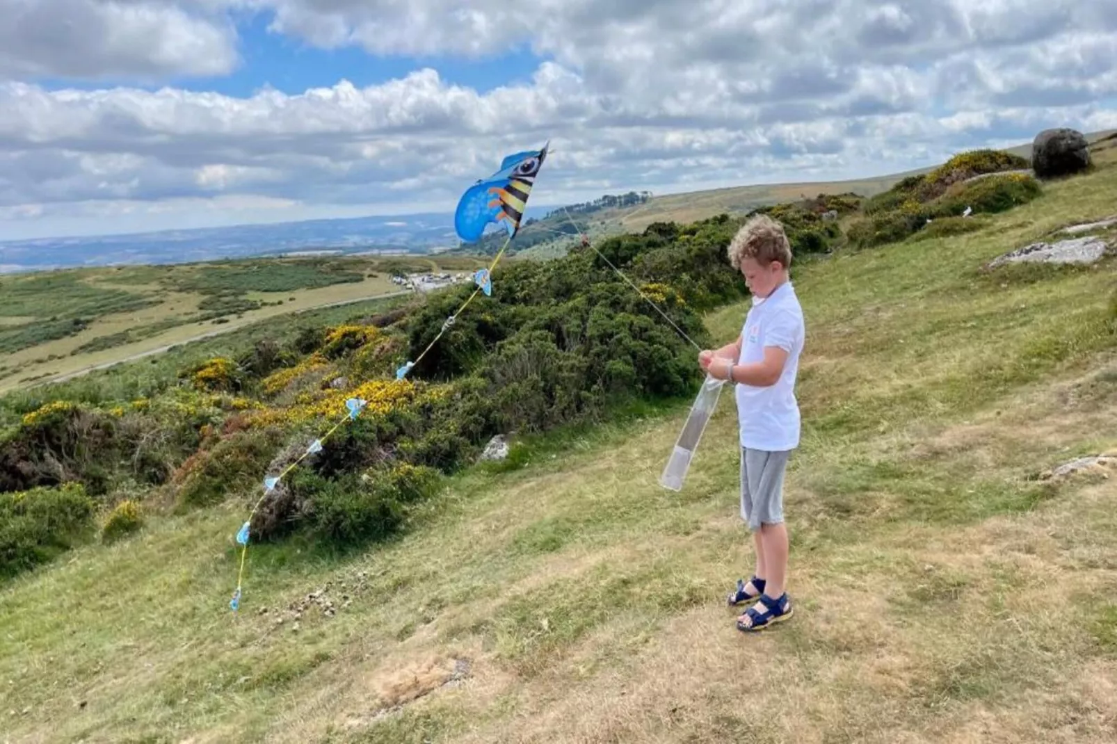 Little Dunley - Apple Lodge-Areas within 5km in summer