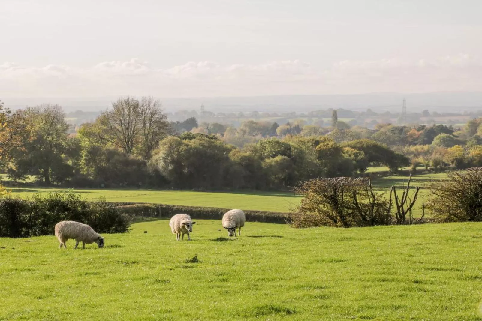 Pennine Hall Apt-Zones été à 20 km