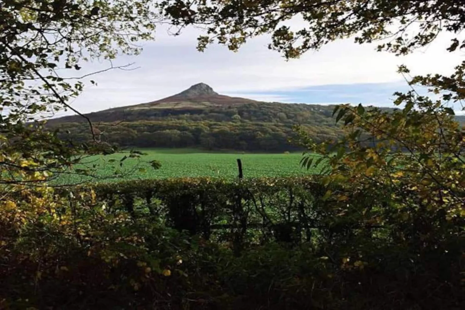 Ingleby Manor - Manor Cottage-Gebiete Sommer 20 km