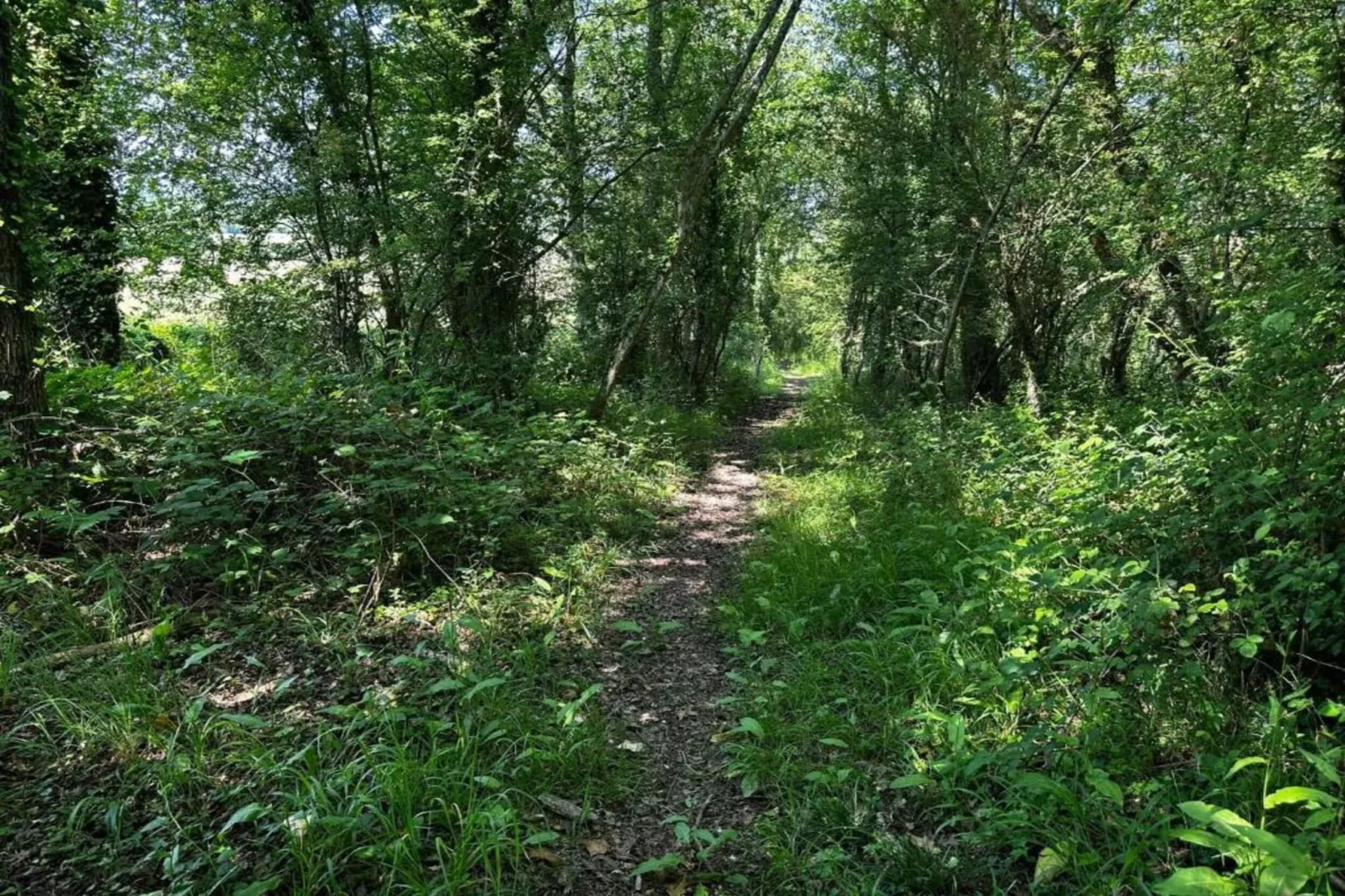South Downs Lodge-Areas within 20km in summer