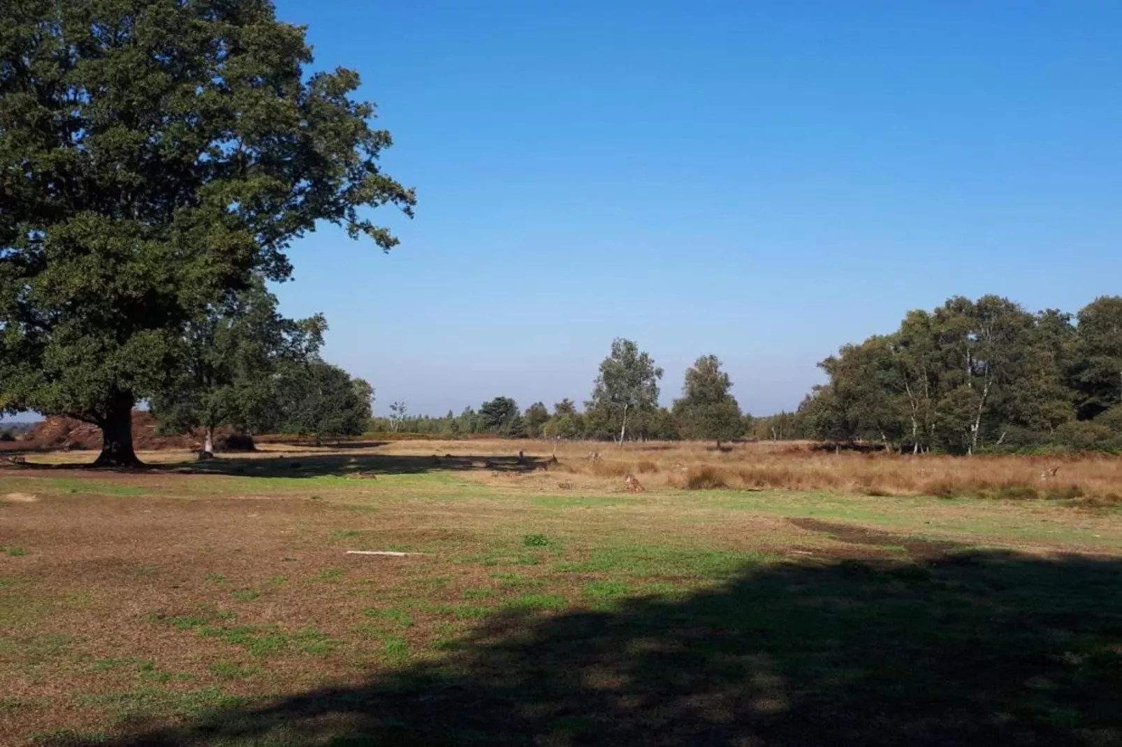 Chalet Egel-Areas within 20km in summer
