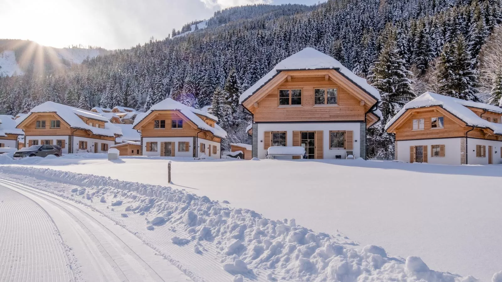 Auerhahn-Extérieur hiver