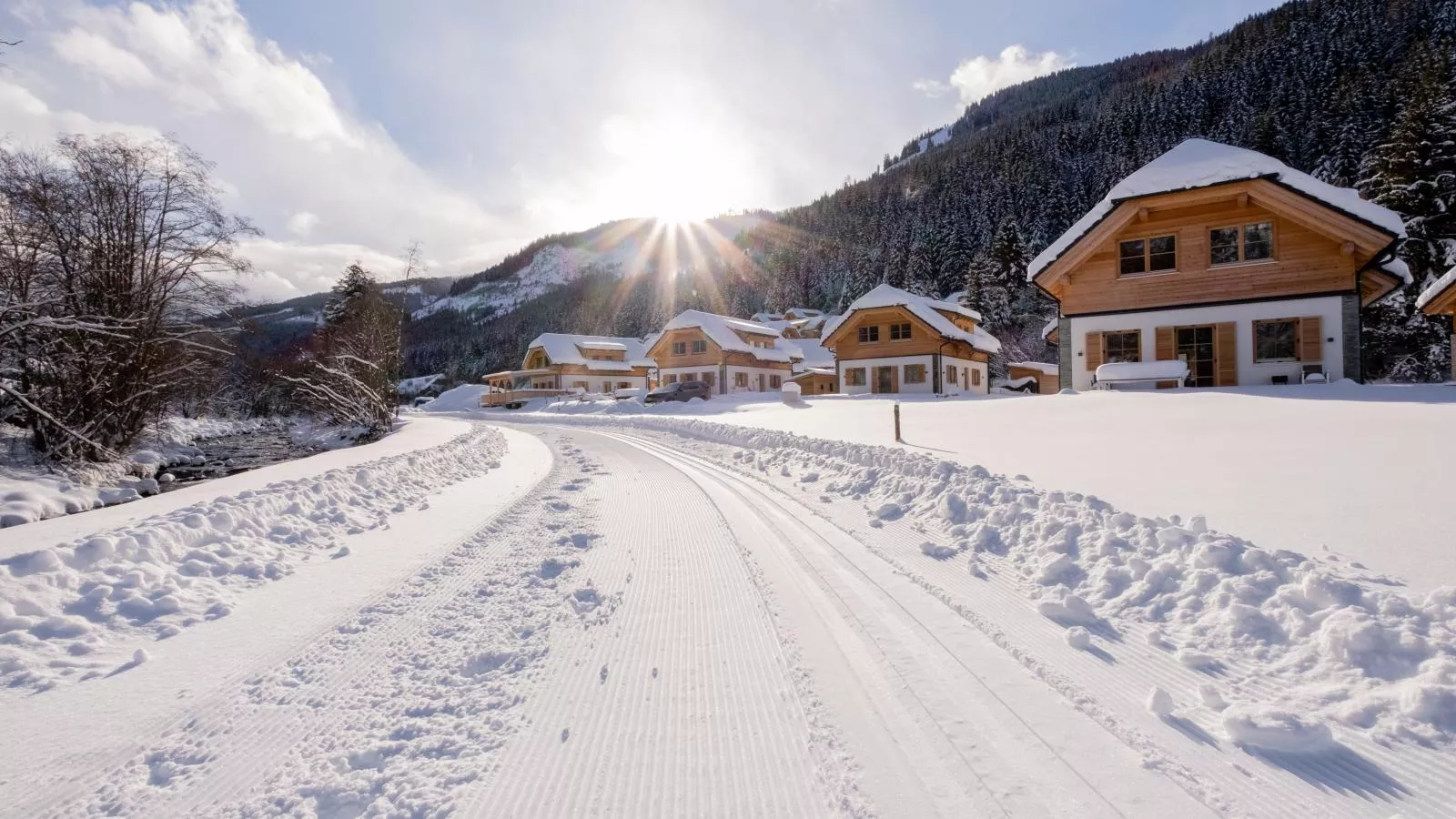 Auerhahn-Extérieur hiver