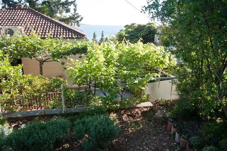 Guest House Villa Nina- Studio with Terrace and Partial Sea View (S5 - bungalov)-Garten Sommer