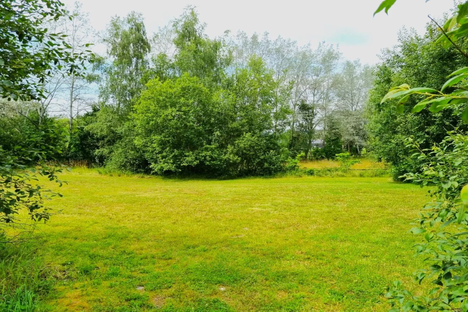 REEBUS-Gebiete Sommer 1 km