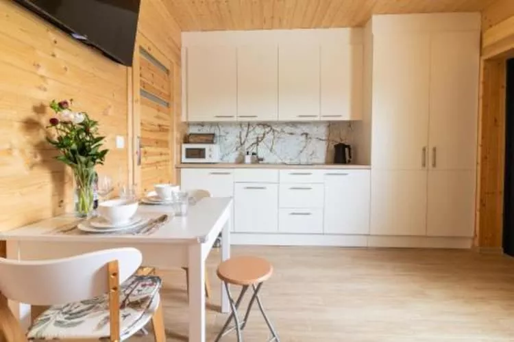 Apartamenty parterowe dla 4 osób w Mielnie-Kitchen