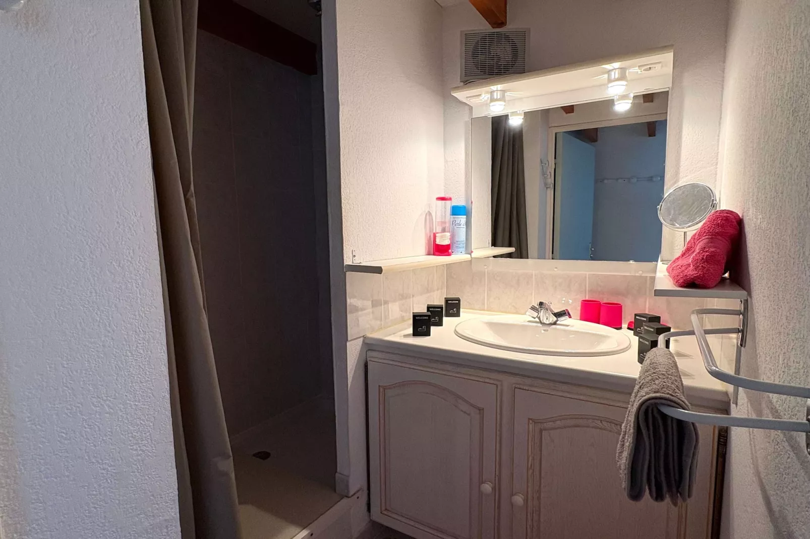 102 FADEL MICHILS-Salle de bain